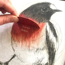 Load image into Gallery viewer, The Bush Birds by Bridget Farmer
