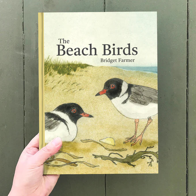 The Beach Birds by Bridget Farmer