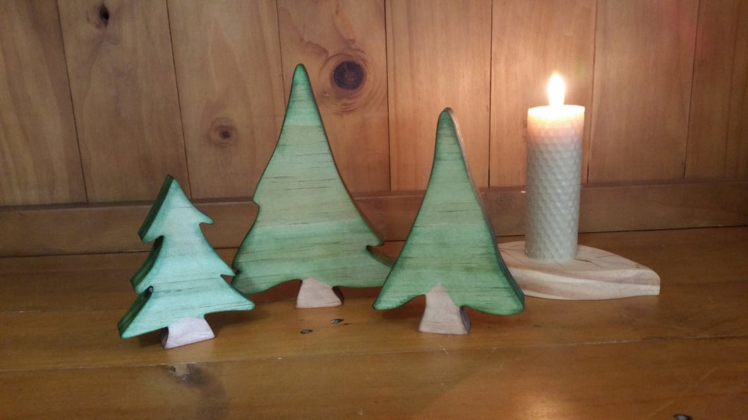 Evergreen Tree