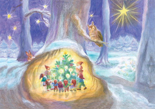 Gnomes Around the Christmas Tree Small Advent Calendar illustrated by Dorothea Schmidt