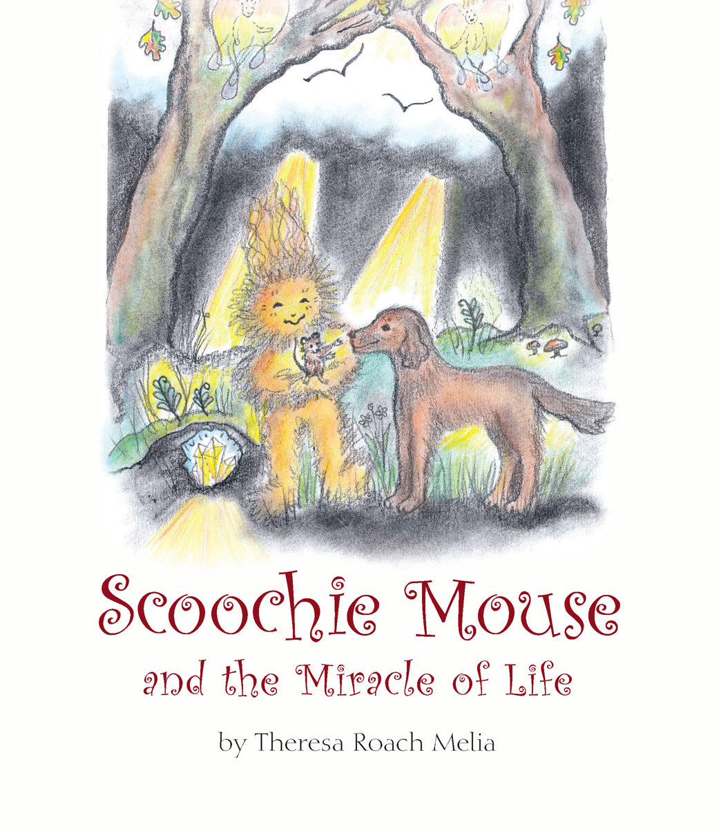 Scoochie Mouse and the Miracle of Life by Theresa Roach Melia
