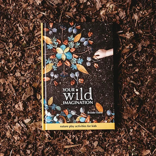 Your Wild Imagination by Brooke Davis