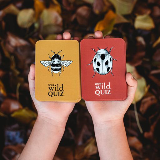 Your Wild Quiz Card Game by Brooke Davis